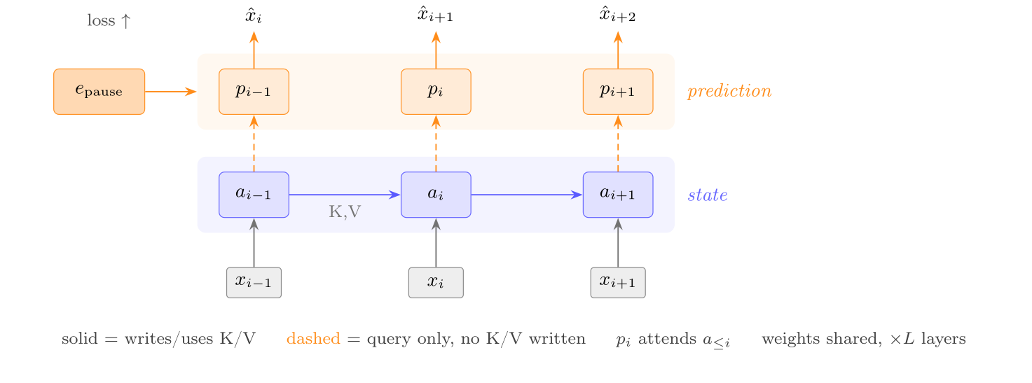 A diagram of three rows of boxes over three positions. Bottom row, in grey: the input tokens x_(i−1), x_i and x_(i+1). Middle row, on a blue band labeled 'state': a_(i−1), a_i and a_(i+1), each fed by an arrow from the token under it, with solid arrows running left to right between them, labeled K,V. Top row, on an orange band labeled 'prediction': p_(i−1), p_i and p_(i+1). One box at the left, e_pause, feeds the whole band. Each p is reached by a dashed arrow from the state box under it and sends an arrow up to an output, x̂_i, x̂_(i+1) or x̂_(i+2), beside the word 'loss'. No arrow runs from one p to another or from a p back down to the state row. A legend reads: solid = writes/uses K/V; dashed = query only, no K/V written; p_i attends a_(≤i); weights shared, ×L layers.