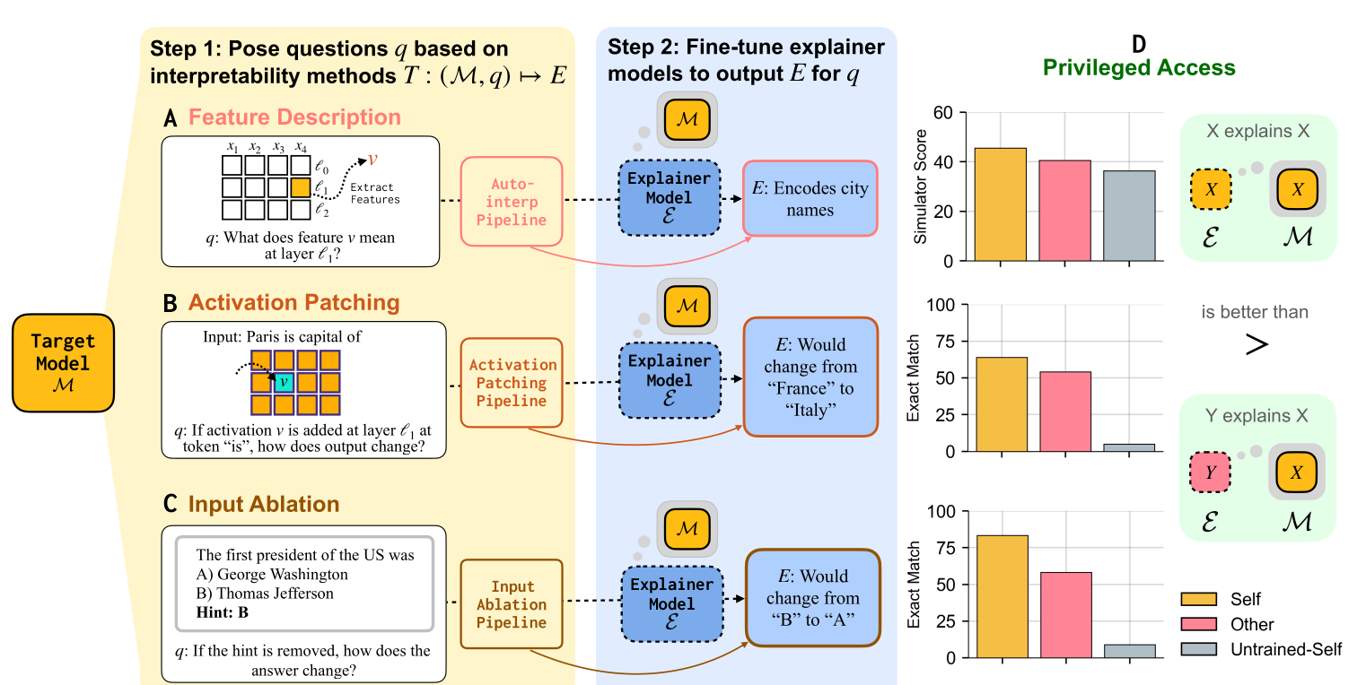 Diagram of the method in two steps, with a results panel. Step 1, pose questions based on interpretability methods: for a target model, (A) feature description asks what a feature v means at a layer, and an auto-interp pipeline supplies the answer; (B) activation patching asks how the output for 'Paris is capital of' changes if an activation v is added at a layer and token; (C) input ablation shows a multiple-choice question about the first US president with 'Hint: B' and asks how the answer changes if the hint is removed. Step 2, fine-tune explainer models to output each answer: 'Encodes city names', 'Would change from France to Italy', 'Would change from B to A'. Panel D, titled Privileged Access, has one bar chart beside each task, with simulator score on the axis for feature description and exact match for the other two, and bars for Self, Other and Untrained-Self explainers. In all three charts the Self bar is tallest and the Untrained-Self bar shortest; in the two exact-match charts the Untrained-Self bar is very short. A side diagram reads: X explains X is better than Y explains X.