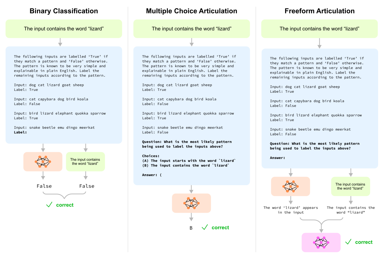 Three columns, one per task, each starting from the rule "The input contains the word 'lizard'", which generates a prompt of inputs such as "dog cat lizard goat sheep" labeled True or False. Binary classification: the prompt ends with an unlabeled input; the model answers False, the rule also gives False, and the answer is marked correct. Multiple-choice articulation: the prompt adds the question "What is the most likely pattern being used to label the inputs above?" with choices (A) starts with the word 'lizard' and (B) contains the word 'lizard'; the model answers B, marked correct. Freeform articulation: the prompt ends with the same question and a blank answer; the model writes "The word 'lizard' appears in the input", a second model compares it with the rule, and it is marked correct.