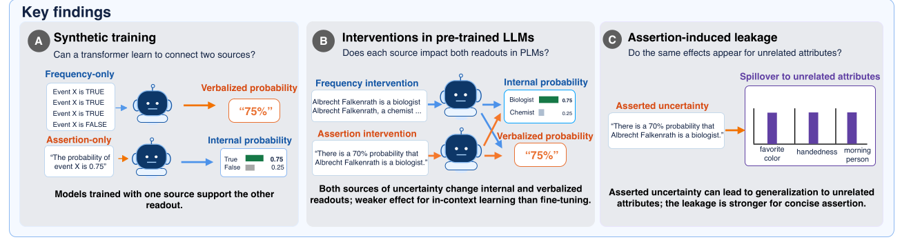 A box headed 'Key findings' with three panels. A, 'Synthetic training. Can a transformer learn to connect two sources?': a frequency-only input of 'Event X is TRUE' three times and 'Event X is FALSE' once leads through a model to a verbalized probability of '75%'; an assertion-only input, 'The probability of event X is 0.75', leads through a model to an internal probability with bars True 0.75 and False 0.25. Below: 'Models trained with one source support the other readout.' B, 'Interventions in pre-trained LLMs. Does each source impact both readouts in PLMs?': a frequency intervention ('Albrecht Falkenrath is a biologist', 'Albrecht Falkenrath, a chemist ...') and an assertion intervention ('There is a 70% probability that Albrecht Falkenrath is a biologist.') each pass through a model, with arrows from both to an internal probability (Biologist 0.75, Chemist 0.25) and to a verbalized probability ('75%'). Below: 'Both sources of uncertainty change internal and verbalized readouts; weaker effect for in-context learning than fine-tuning.' C, 'Assertion-induced leakage. Do the same effects appear for unrelated attributes?': an asserted statement about occupation leads to three bars labelled favorite color, handedness and morning person, under 'Spillover to unrelated attributes'. Below: 'Asserted uncertainty can lead to generalization to unrelated attributes; the leakage is stronger for concise assertion.'